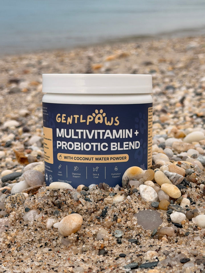 GentlPaws Multivitamin Hydration Chew
